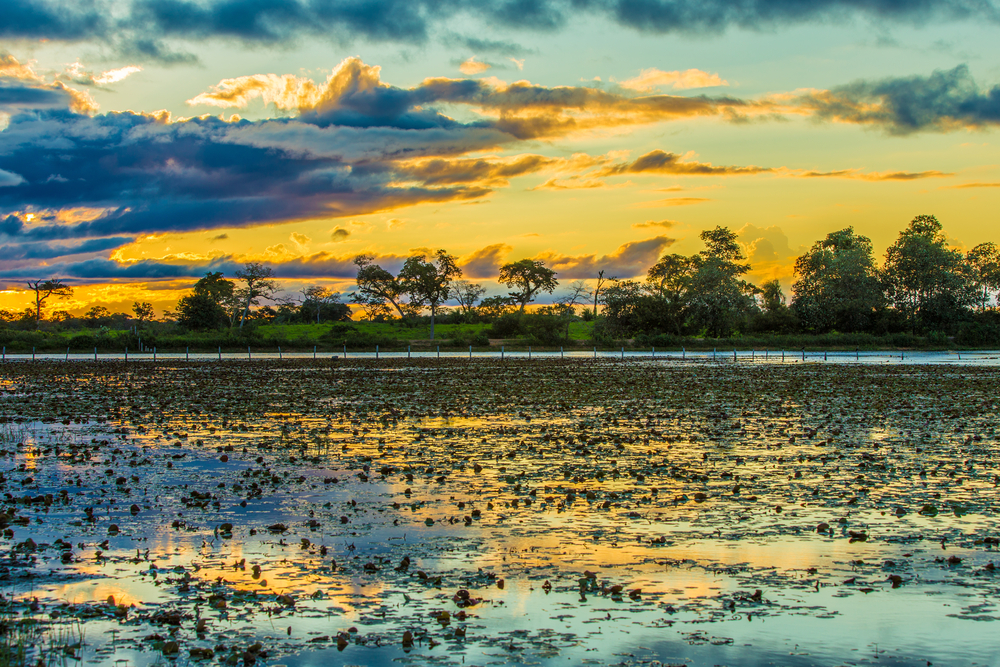 Pantanal-Matogrossense-National-Park-sun-setting